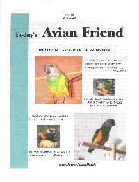 Education is the Key To Happy, Healthy, Avian Friends!
